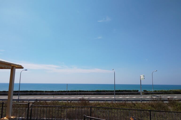 写真1