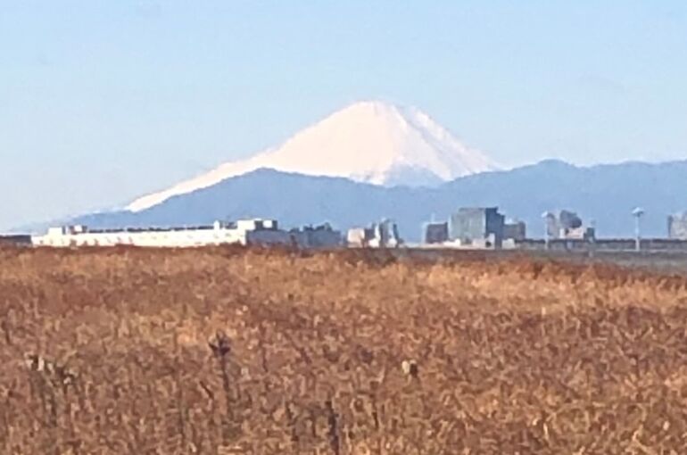 写真1